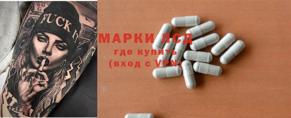 ПСИЛОЦИБИНОВЫЕ ГРИБЫ Алексеевка