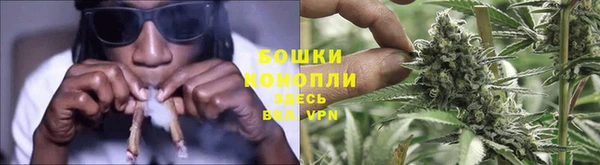 сатива Аркадак