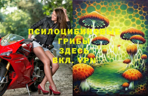герыч Алзамай