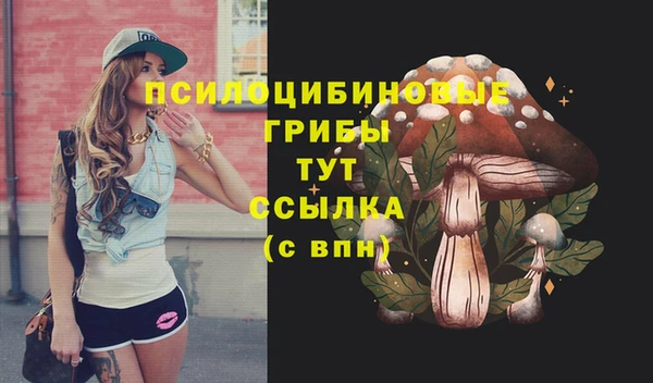 ПСИЛОЦИБИНОВЫЕ ГРИБЫ Алексеевка