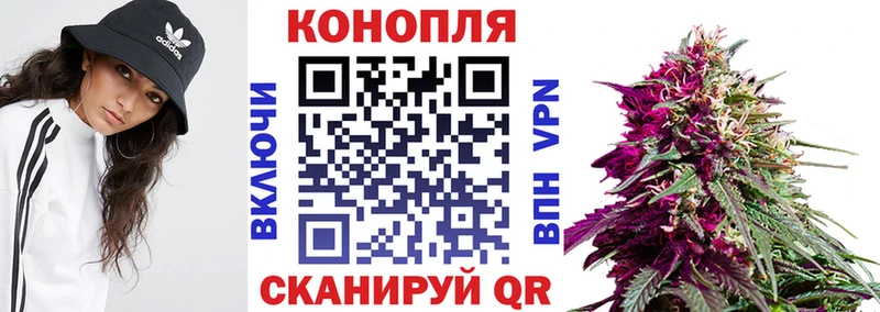 MEGA зеркало  Волгодонск  Конопля Ganja  купить закладку 